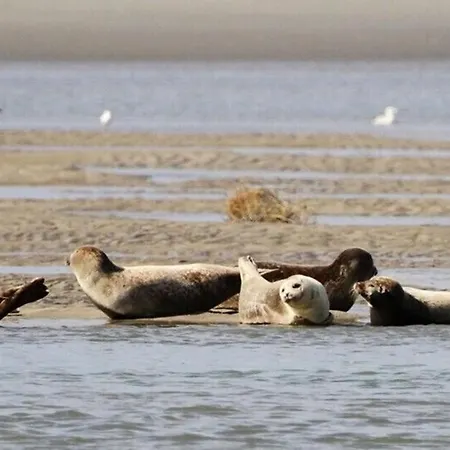 Idealement Situe - Jardin Agreable - E Lejlighed